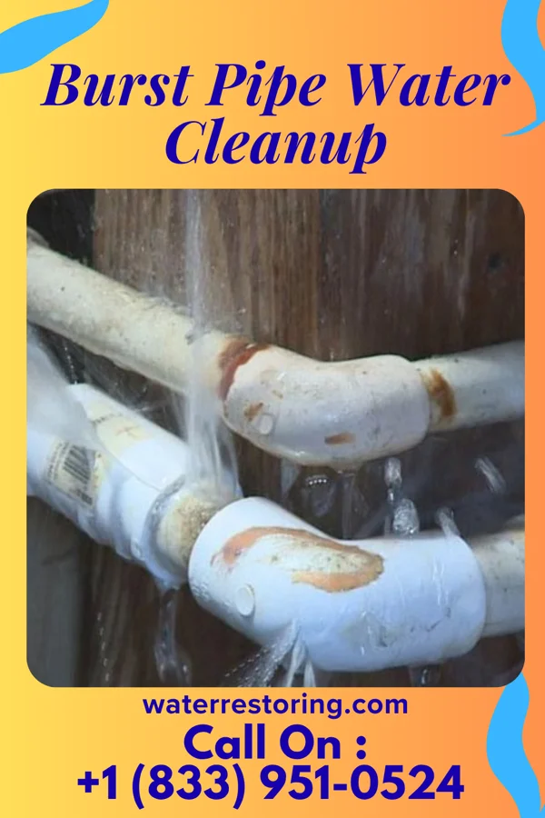 Burst Pipe Water Cleanup in Enville, TN