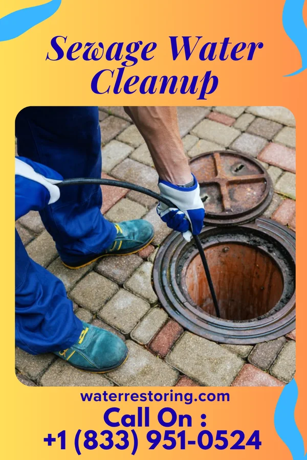 Sewage Water Cleanup in Enville, TN