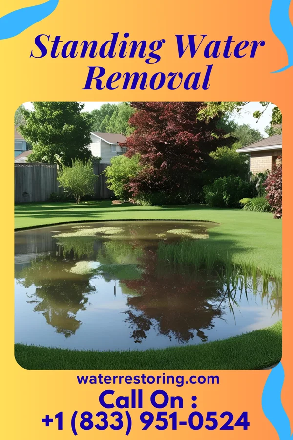 Standing Water Removal in Enville, TN